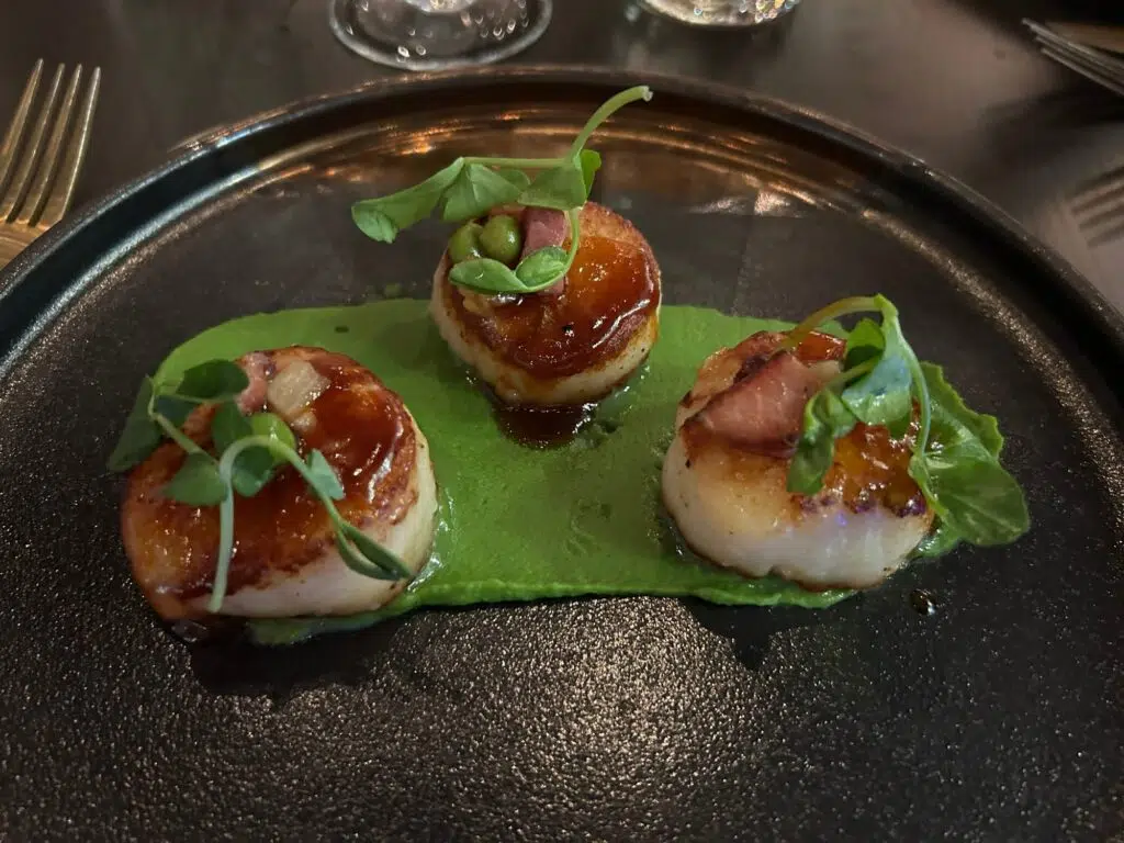 Three seared scallops with caramelized tops on bright green pea purée, garnished with microgreens and bacon on dark plate.