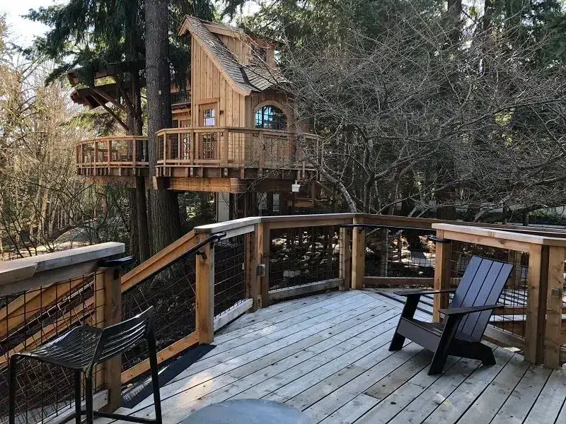 Wooden treehouse with wraparound deck built among tall trees at Microsoft Redmond campus, viewed from adjacent observation deck