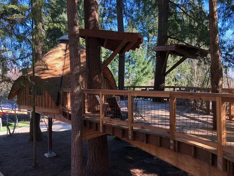 Wooden treehouse with curved shingled roof connected by elevated walkway bridge among tall evergreen trees at Microsoft campus